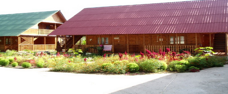 база отдыха Медик, Затока, Украина